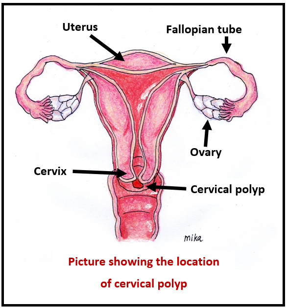 ( https://obgyn.com.my)