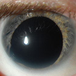 https://eyeguru.org/