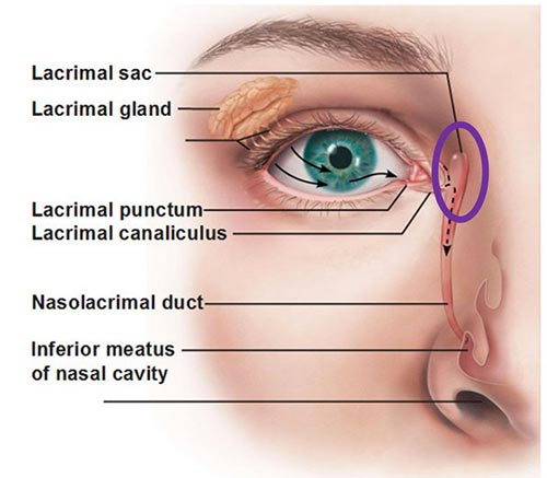 https://www.eyedoctorophthalmologistnyc.com/