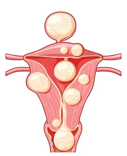 https://www.volusiamedicalcenter.net/