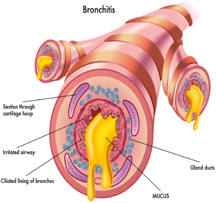(https://www.sciencedirect.com/)